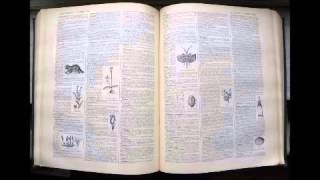 Angiite  Dictionnaire français audio [upl. by Selrac713]