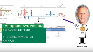 Keynote Lecture Diversifying the function of a limited RNA genome [upl. by Retlaw]