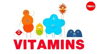 How do vitamins work  Ginnie Trinh Nguyen [upl. by Kemp849]