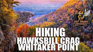 Hiking Hawksbill Crag in the fall [upl. by Amara326]