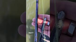 GoTo Jighead Minnow Rod [upl. by Sadiras130]