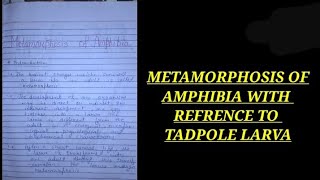 METAMORPHOSIS OF AMPHIBIA WITH REFRENCE TO AN TADPOLE LARVA zoologynotes zoology biology bsc [upl. by Cudlip]