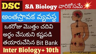 అంతస్రావక వ్యవస్థIntermediate and 10th మొత్తం chapter cover అయ్యెల Bitbank [upl. by Wieren]