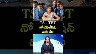 Telangana TET Notification Released 2024  sakshieducationvideos sakshieducation [upl. by Berkshire]