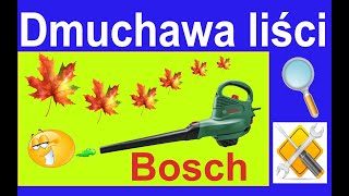 Dmuchawa do liści Bosch montaż test opinia [upl. by Ybor]