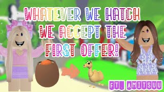 Whatever We Hatch We Accept The First Offer with AmitsuuYT [upl. by Nirehtak]