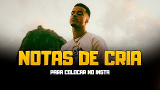 NOTAS DE CRIA 7 Frases de cria pro notas do instagram [upl. by Dnomhcir]