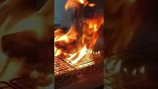 Flaming yakitori grill at yakitoriya [upl. by Lait475]