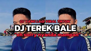 DJ EH SORRY NYANDA MAMPAN NGANA MO SINGUNG PA KITA MUKA KURANG TAMPAN  DJ TEREK BALE VIRAL TIKTOK [upl. by Eizzik528]