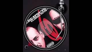 The Beatnuts ft The Visioneers  Watch out now INI Classic hip hop Mashup [upl. by Worra]