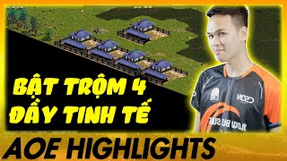 Trận đấu khẳng định trình độ của CSDN đã VƯỢT QUÁ SỨC TƯỞNG TƯỢNG AoE Highlights [upl. by Paz552]