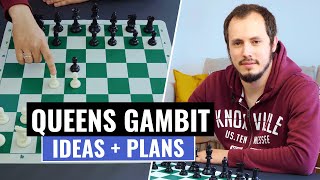 Queen’s Gambit  Basic Ideas Plans amp Strategies  Chess Openings  Andrey Ostrovskiy [upl. by Triley]