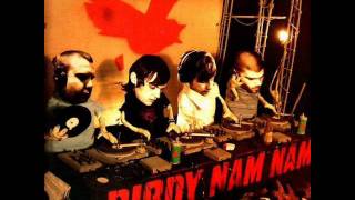 Birdy Nam Nam  New Birth electro [upl. by Pelag864]