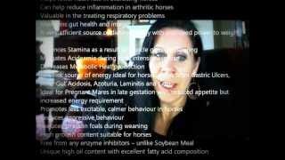 Hemp Seed Oil in Horse Nutrition [upl. by Carny]