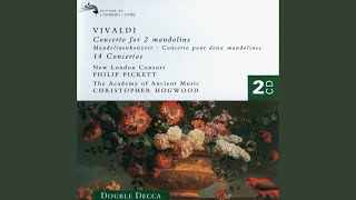 Vivaldi Flautino Concerto in C Major RV 443 2 Largo [upl. by Wedurn]