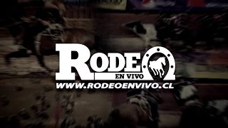 RODEO CLASIFICATORIO 2017 NOS  DIA 01 TARDE [upl. by Kallick179]