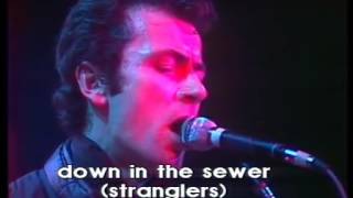 the stranglers live french TV 1979 [upl. by Skiest]