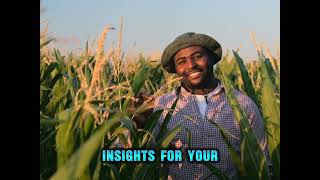 Resilience in Action Zimbabwean Farmer Triumphs [upl. by Oina]