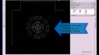 FlyLine concentricoavi [upl. by Odraleba]