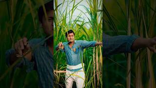 Main Hawa me hoon 💥🔥ll Vishal Rajput shorts vishalsinghrajput celebratewithshorts [upl. by Atekram]