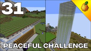 Peaceful Challenge 31 Two Large Projects Finished [upl. by Yeaton841]