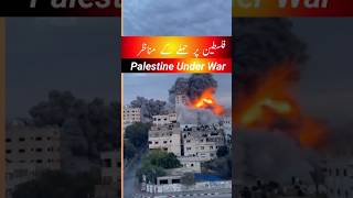 The Palestine Unseen Factsshorts facts [upl. by Angi175]