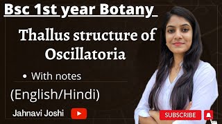 Oscillatoria thallus structure Notes Bsc 1st year Botany [upl. by Orthman402]