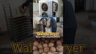 Walnut dehydrator nut drying machinery mango drying machine food dehydrator dryingequipment [upl. by Goth]