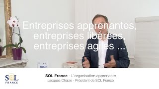 SOL France L organisation apprenante Entreprises apprenantes entreprises libérées entrepr [upl. by Harlie]