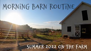 MORNING BARN ROUTINE  Summer 2022 • Feeding the Horses  Barn Chores on the Farm  EQUESTRIAN VLOG [upl. by Noe]