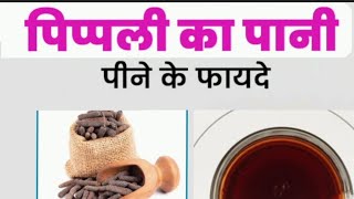 pipli ke fayde  pipli ka pani peene ke fayde long pepper benefits pipli health weightloss [upl. by Leasia]