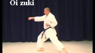 Shotokan Karate Basics Oizuki Stepping Punch [upl. by Nivalc404]