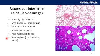 MÓDULO 1 FUNÇÕES BIOLÓGICAS Hematose e transporte de gases [upl. by Lindon]