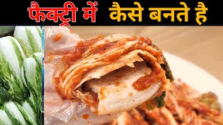 Veg Korean Kimchi recipe  किमची कैसे बनाई जाती है [upl. by Onder]