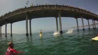 San Diego Junior Lifeguards Skills for Life [upl. by Keely284]