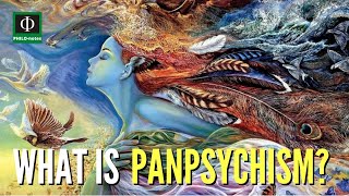 What is Panpsychism [upl. by Elsey]