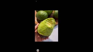 Bicolanang Rabas is liveYUMMY 🥑 AVOCADO ASMR 🤤 [upl. by Lyndell794]