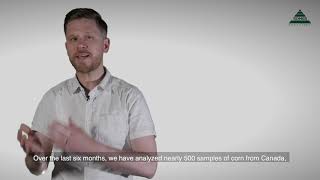 Mycotoxin Minute 82 – Aflatoxins in Corn in North America [upl. by Giffard]