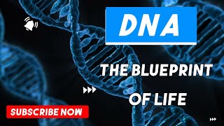 DNA The Blueprint of Life gene dna science [upl. by Romina75]