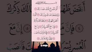 Alam Nashrah  Surah Inshirah Recitation  surah recitation surahinshirah tilawat shorts [upl. by Anilys]