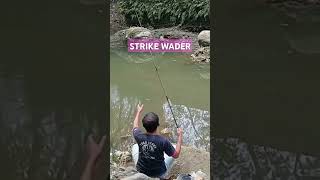 STRIKE WADER mancingwader [upl. by Anyr]