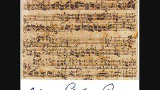 Bach  Concerto No 1 in A Minor BWV 1041 For Violin Strings and Basso Continuo  Part 1 [upl. by Silvester]