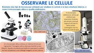 OSSERVARE LE CELLULE [upl. by Nodarse]