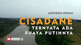 Cisadane River  Near Jakarta City is said to have white crocodile and turtles [upl. by Relda]