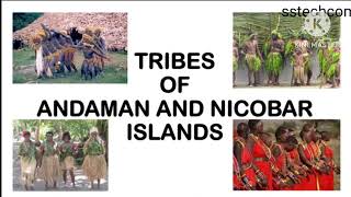 tribes of andaman and nicobar islands project on tribes of andaman and nicobar  andaman amp nicobar [upl. by Elakram326]