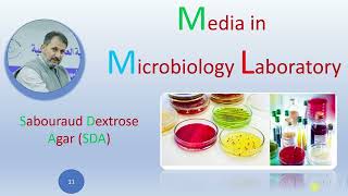 Sabouraud Dextrose Agar SDA [upl. by Llecram]