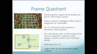 A2 Edexcel Biology Unit 4  Ecology Natural Selection Evolution and Succession [upl. by Accebor]