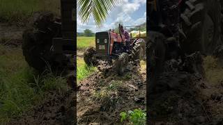 Tafe ගැම්මක් ඉතින් 🤓❤️Shorts Tafe tractor [upl. by Kciderf]