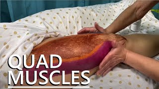 How to Massage the Quadriceps [upl. by Zorana]