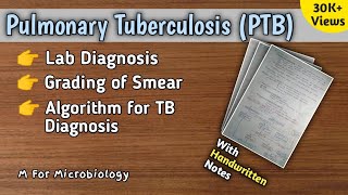 Pulmonary Tuberculosis  TB lab diagnosis  Diagnostic algorithm for TB  Notes  M For Microbiology [upl. by Oiliruam108]